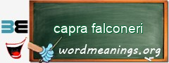 WordMeaning blackboard for capra falconeri